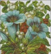 FIORI 14