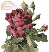 Artecy Cross Stitch - Pink Rose
