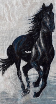 Free running black horse in the water