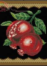 Pomegranate with Border by Mulk