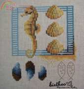 Sea Horse Collage