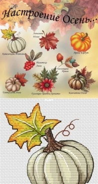 The "Autumn Mood" Series - Baby Pumpkin by Tatiana Kovalenkova