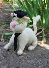 Clever Cat