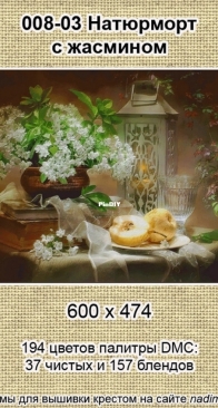 NaDiMa 008-03-Still Life with Jasmine