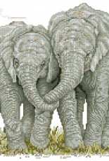 Loving embrace by Jayne Netley Mayhew