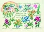 Lucas C - Fleurs de Printemps