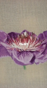 DMC Passion flower