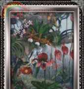 Grans Stitch Niche - Exotic Flowers - Free