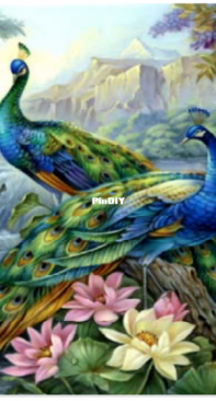 HAED HAEOLEGMINI 20190394 Mini 2 Dancing Peacocks - Oleg Gavrilov