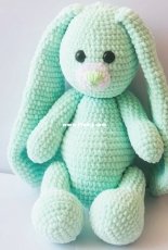 Bunny