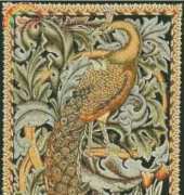Golden Kite GK 794 The Peacock