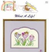 Pitter Pattens HM75 - House Mouse Designs - What a Life