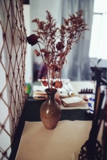 Dried flowers 1