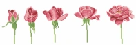 DMC XC0657-A (FCE0509) - Blooming Rose - Free - XSD