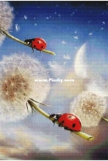 Сhimera-Flight on a dandelion