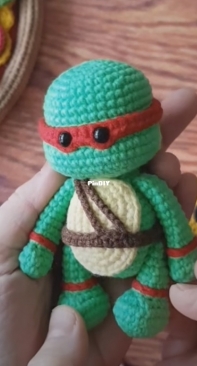 Ayse Atik - Ayşe Çelik Atik - Ninja Turtle - Ninja Kaplumbağa  - Turkısh