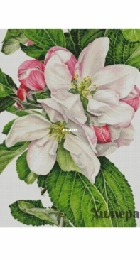 Chimera- Apple blossom XSD