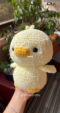Shine.Crafts - Massive Duck