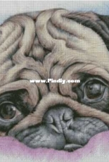 Chimera - Little Fatty