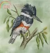 Crossed Wing Collection No. 52 Belted Kingfisher XSD