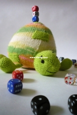 Little turtle