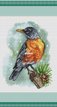 Catbird by Irina Bulgakova-