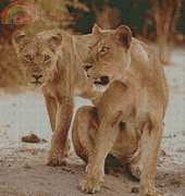 Artecy Cross Stitch - Lionesss