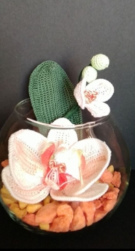 Mother Orchid
