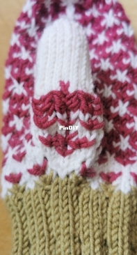Novemberkaktus Mitten by Inga Ollars-Free