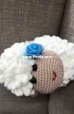 sheep