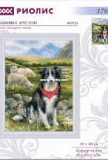 Riolis 1767 - Border Collie