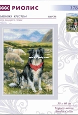 Riolis 1767 - Border Collie