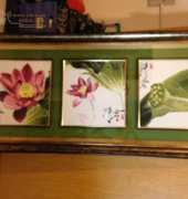 Lotus for Harmony