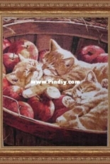Apple dream by Tatjana Borodina