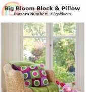 Lion Brand Yarns- 100gsBloom Big Bloom Block and Pillow - Free