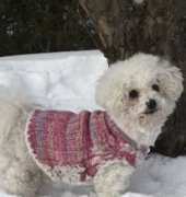 Drops Designs FA-188 Dog Sweater  - Free