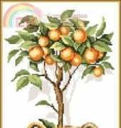 Orange Tree in Vase