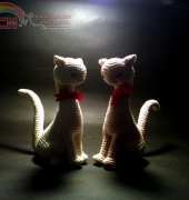 Cat Princess Couple
