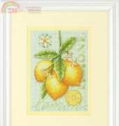 Dimensions 70-65132 Lemons