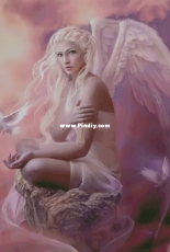 HAED HAEMAD 2097 Doves by Marta Dahlig PCS