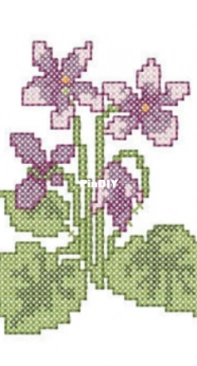 Home Atelier Studio - Violet