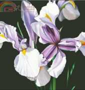 I Love CrossStitch ILCS - JH028 - Remembrance XSD