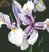 I Love CrossStitch ILCS - JH028 - Remembrance XSD