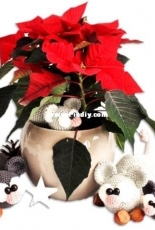 Mala Designs - Mandy Herrmann - Mice - German