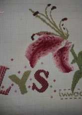 le lys, lili point