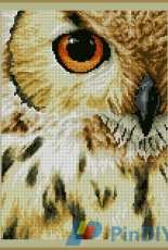 Lanarte PN-0157518 Owl XSD + PCS