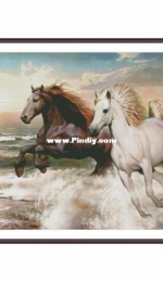 ZAnna Cross Stitch 0195 - Freedom