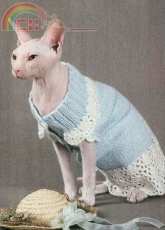 Unknown Designer - Blue dress for a cat - Russian - Free