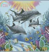 Dimensions 35186 - Dolphin Morning XSD