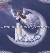 HAED HAERAET 162 Catch A Falling Star by Rachael Tallamy